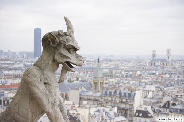 photo de Chimère devant Paris
