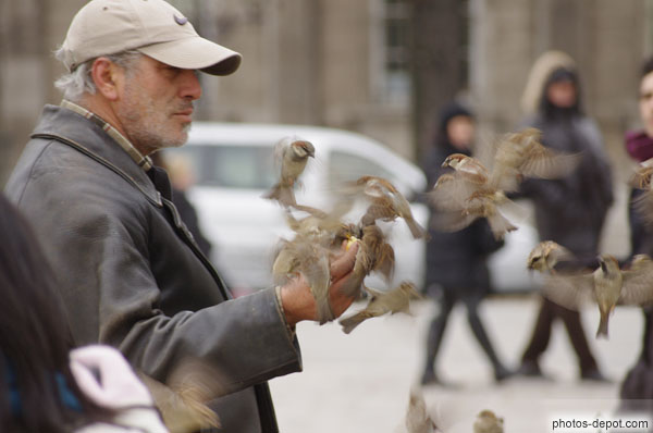 photo de distribution de pain aux moineaux