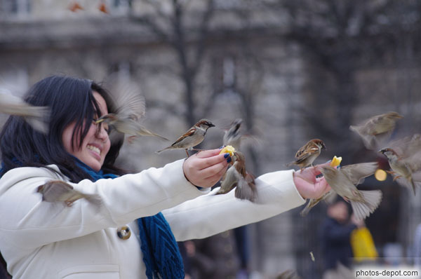 photo de distribution de pain aux moineaux