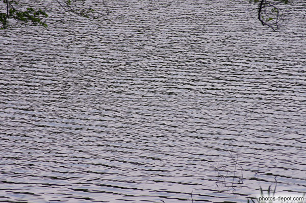 photo de vaguelettes sur l'étang