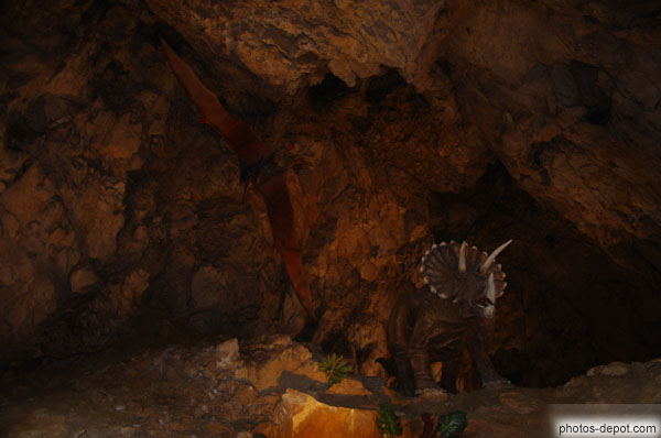 photo de Triceratops