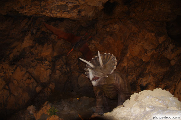 photo de triceratops