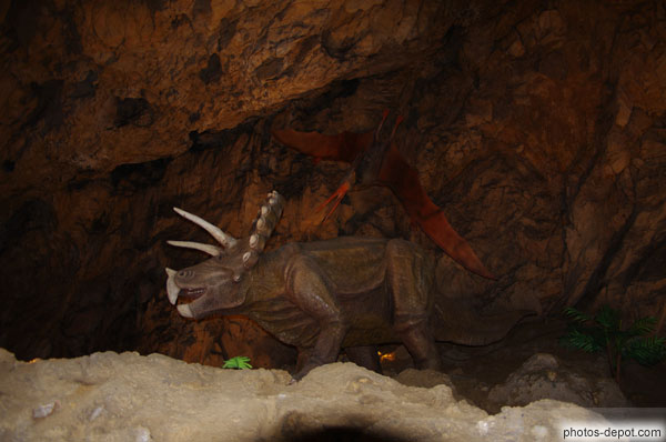 photo de triceratops