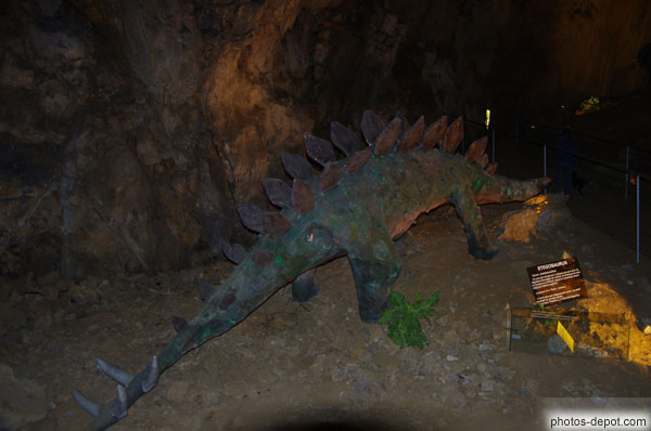 photo de Stegosaurus