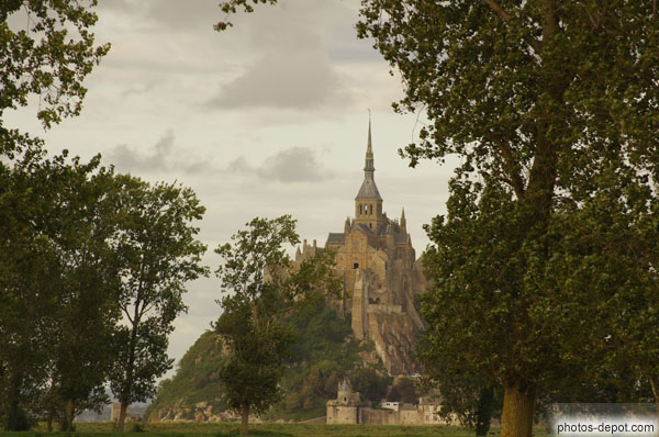 photo de Le mont derrière les arbres