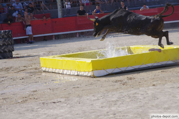 photo de saut du taureau
