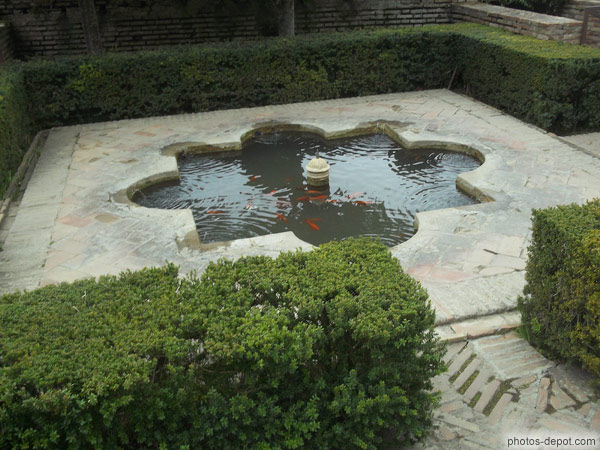 photo de bassin aux poissons rouges