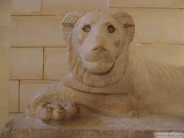 photo de Lyon du Sérapéum de Saqqara, Antiquités égyptiennes