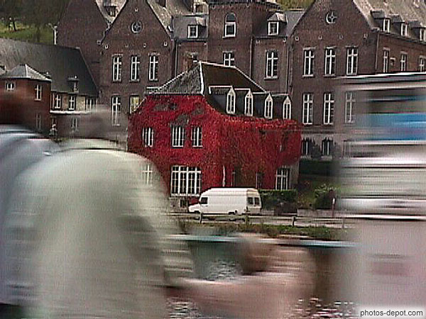photo de maison entourée de lierre rouge
