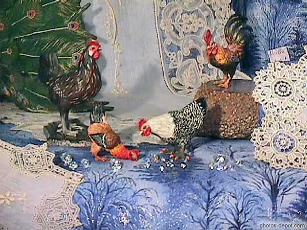 photo de coq et poules décoration vitrine