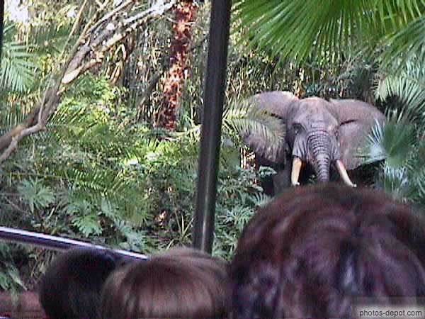 éléphant USA, Floride, Disney Park, Photo 1998