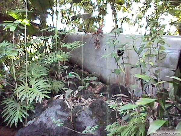 photo de carcasse d'avion dans la jungle