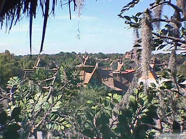 photo de toits dans la jungle