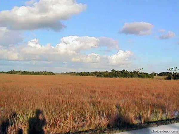 Marais USA, Floride, Everglades, Big Cypress, Photo 1998