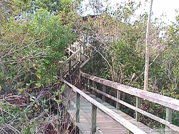 Passage de planches dans la mangrove USA, Floride, Everglades, Photo 1998
