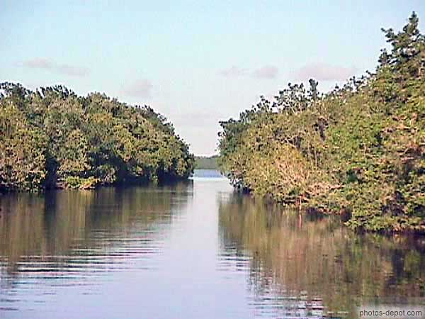 photo de canaux traversant les Everglades