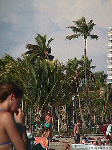 Palmiers sur la plage