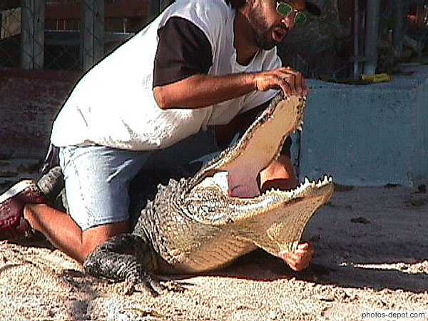Ouverture de la machoire du crocodile
