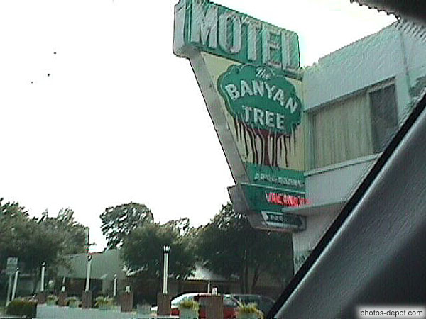 photo de Motel the Banyan tree