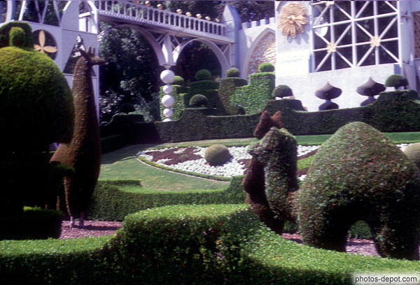 photo de jardin buis sculpté