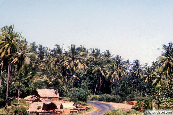 photo de village dans les palmiers
