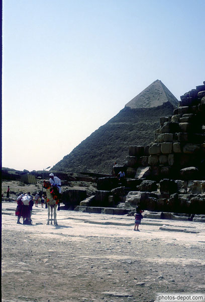 photo de pyramide et chameau