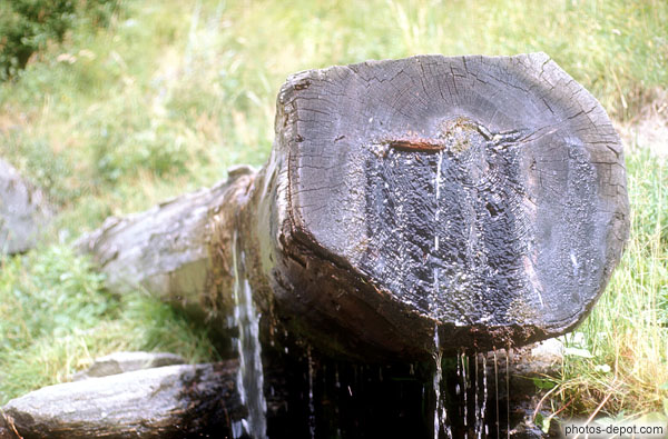 photo de fontaine suinte à travers le tronc Ayer Val Anniviers