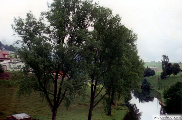 Arbres et rivière Unterbach
