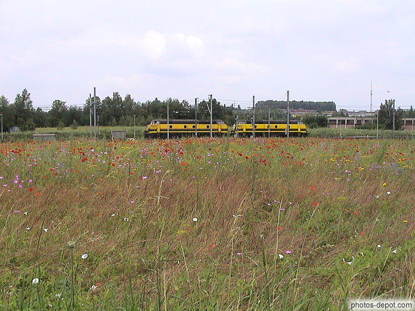 photo de locomotives jaunes