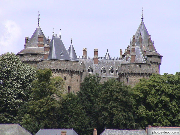 photo de Détail Château de ChateauBriand