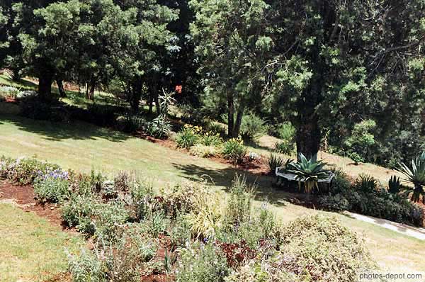 Jardins du Amboseli Lodge