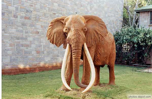 photo de statue Eléphant d'afrique