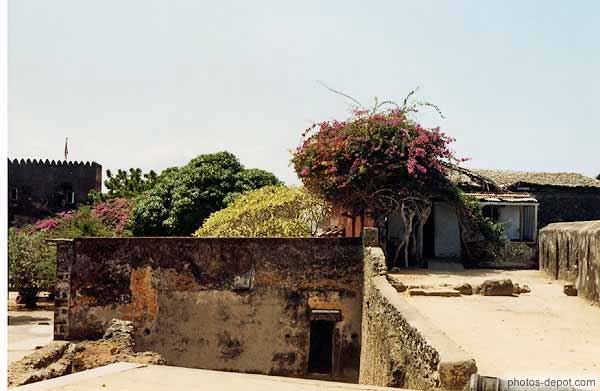 photo d'arbres en fleurs dans le fort Jesus