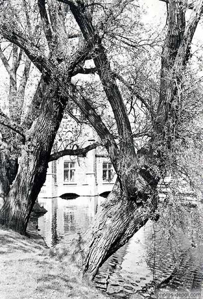 photo d'arbres devant le canal et maison à arches