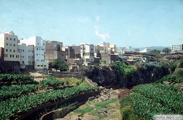 photo de maisons et jardins à étages de vant la falaise