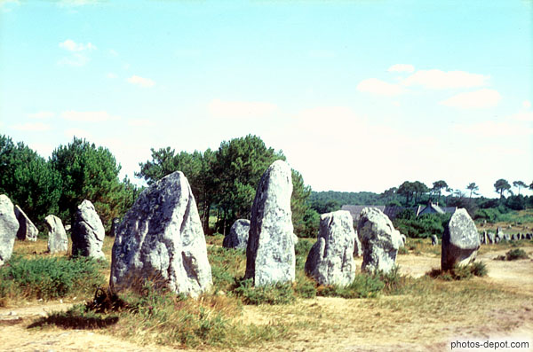 photo d'alignements de dolmens