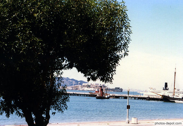 photo d'Arbre et quai devant Alcatraz