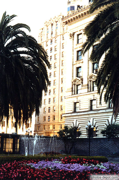 photo de fontaines palmiers et immeuble