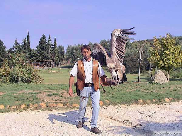 photo de spectacle Vautour et fauconnier