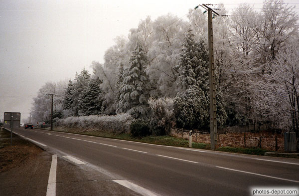 photo d'arbres gelés le long de la route