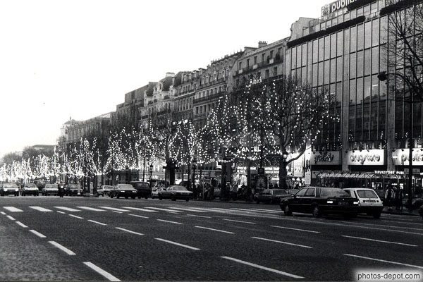 photo d'arbres illuminés sur les Champs Elysées