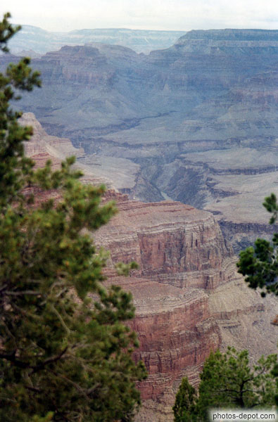 photo de derrière les arbres, Gorges du Grand Canyon