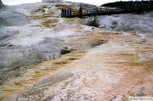 photo de couches successives formant minerva terrace de mammoth hot springs