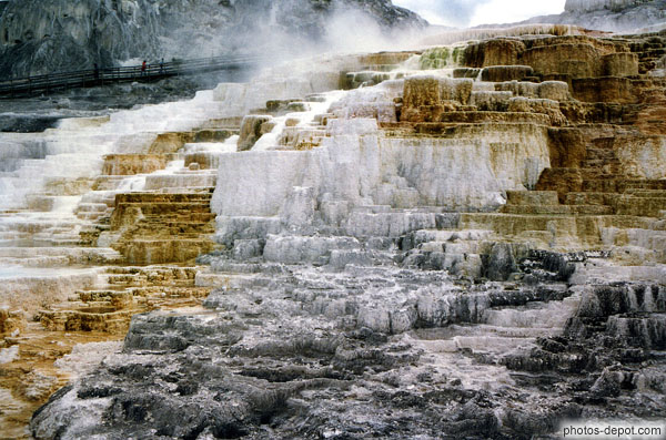 Minerva Terrace de Mammoth Hot Springs forme des bassins en escaliers