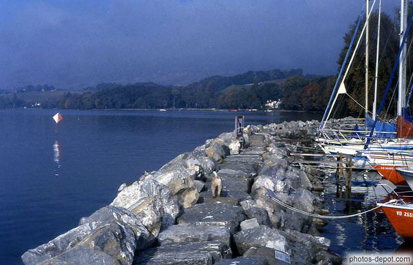 photo de port sur le lac
