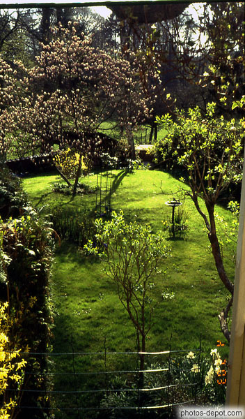 photo de petit jardin