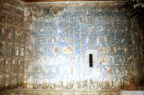 photo de L'arbre généalogique