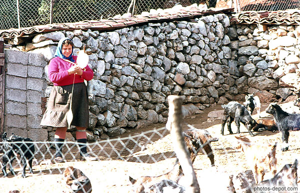 photo de femme file la laine avec chevreaux