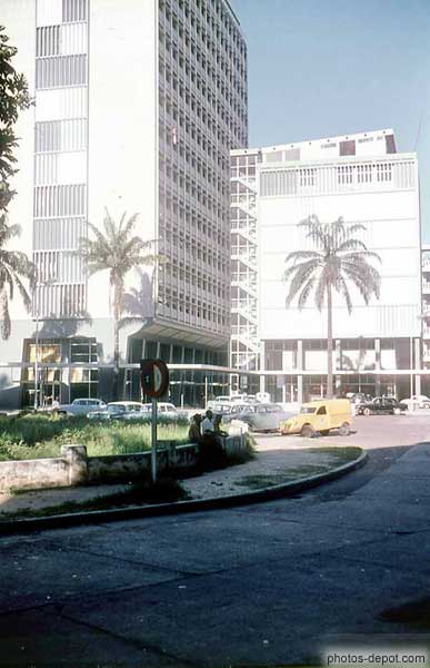 photo de palmiers devant immeubles