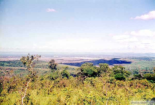 photo de végétation et vallée